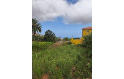 Tacoronte, Canary Islands