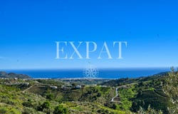 Frigiliana, Andalusia 29788