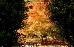 Torremenga, Extremadura 10413