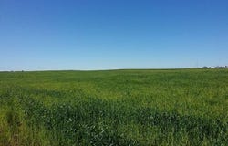 Badajoz, Extremadura