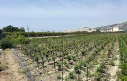 Salobreña, Andalusia