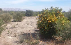 Benferri, Valencian Community 03316