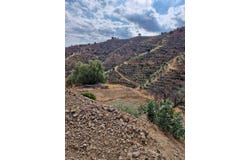 Coín, Andalusia