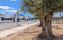 Roldan, MU, Roldan, Region of Murcia 30709