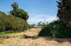 Estepona, Malaga
