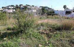 Benissa, Alicante