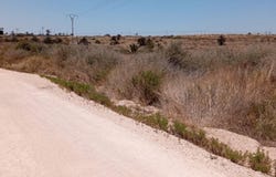 Elche/Elx, Valencian Community