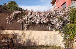 Olivella, Catalonia 8818
