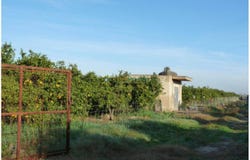 Oliva, Valencian Community 46780