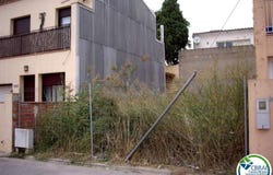 Puigmal, Girona, Catalonia 17488