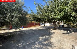 Alcanar, Catalonia 43530