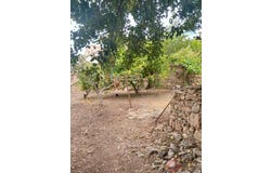 Comares, Andalusia 29195