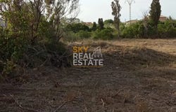 Oliva, Valencian Community 46780