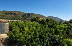 L'Atzúbia, Valencian Community 03786