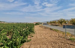 Pinoso, Valencia 03650