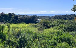 Estepona, Andalusia