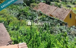 Santa Brigida, Canary Islands 35307