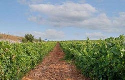Badajoz, Extremadura