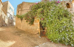 Capdepera, The Balearic Islands 07580