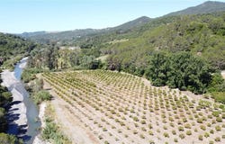 Gaucín, Andalusia 29480