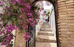 Almáchar, Andalusia 29718
