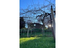 Vilaboa, Galicia 36140