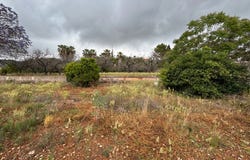Pedreguer, Valencian Community 03750