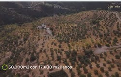 Borge (El), Andalusia
