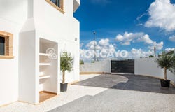 Cox, Valencia 03350