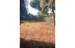 Marbella, Andalusia 29670