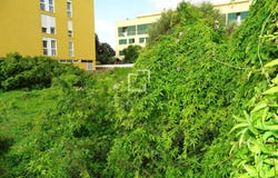 Ciutadella, Balearic Islands 07760