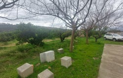 Xerta, Catalonia 43592
