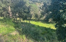 Tordera, Catalonia