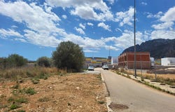 Verger (el), Valencian Community