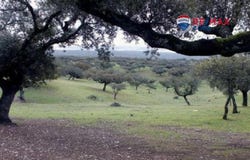Badajoz, Extremadura 06010