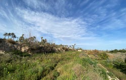 Elche/Elx, Valencian Community