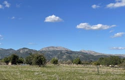 Ca na Queleta, Selva, Balearic Islands 07313