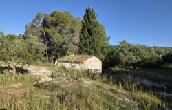 Bèlgida, Valencian Community 46868