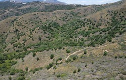 Marbella, Andalusia