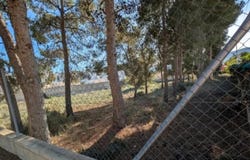 Petrer, Valencian Community 03610