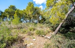 Calvià, Balearic Islands 07181
