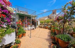 Sevilla, Andalusia 41004