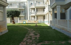 Dénia, Valencian Community 03779