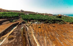 Adeje, Canary Islands 38678