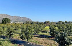 Benidoleig, Valencian Community 03759
