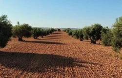Badajoz, Extremadura