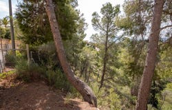 Altea, Valencian Community 03590