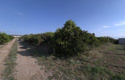 Alcanar, Catalonia 43530