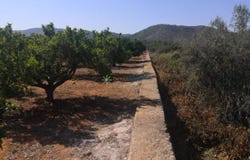 Oliva, Valencian Community 46780