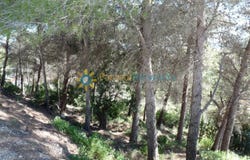 Oliva, Valencian Community 46780